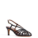 Candace 55 Black Blizgus Lamb