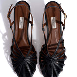 Candace 55 Black Blizgus Lamb