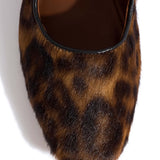 Leopard Print Kalvų Hair Praise