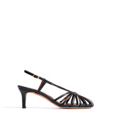 Candace 55 Black Blizgus Lamb